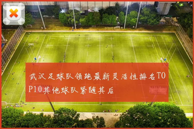 武汉足球队领跑最新灵活性排名TOP10其他球队紧随其后