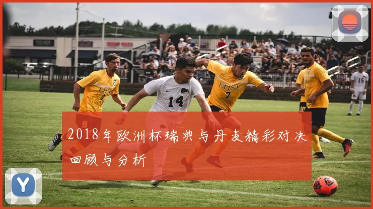 2018年欧洲杯瑞典与丹麦精彩对决回顾与分析