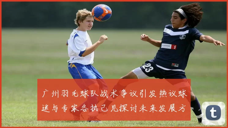 广州羽毛球队战术争议引发热议球迷与专家各执己见探讨未来发展方向MBA